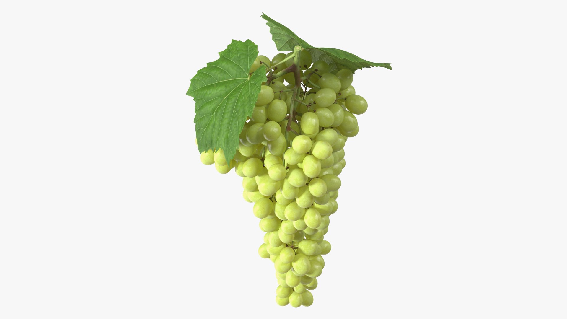 Green Sultana Grape Cluster 3D model preview