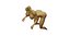 nude woman genitals anatomy