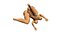 nude woman genitals anatomy