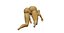 nude woman genitals anatomy