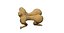 nude woman genitals anatomy
