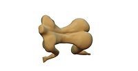 nude woman genitals anatomy
