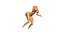 nude woman genitals anatomy