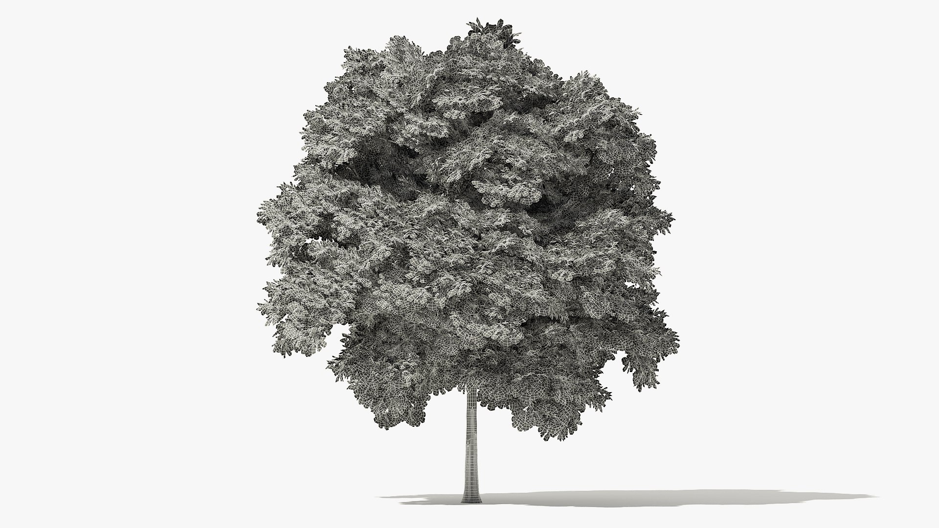 3D Autumn Norway Maple Tree Model - TurboSquid 1478794