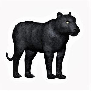 Fully Rigged Low Polygon Black Panther