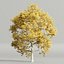 Autumn Maple Trees Collection vol 147-Blender-3dmodel