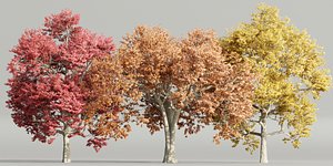 Autumn Maple Trees Collection vol 147-Blender 3D