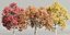 Autumn Maple Trees Collection vol 147-Blender-3dmodel