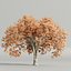 Autumn Maple Trees Collection vol 147-Blender-3dmodel