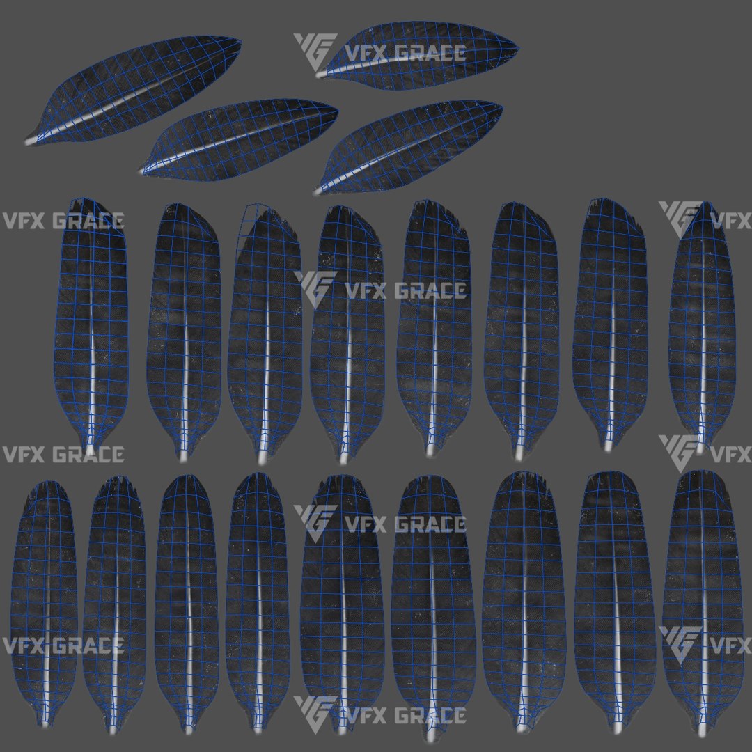 3D Carrion Crow Animated - Advanced Wing Rig Individual Feather Control ...