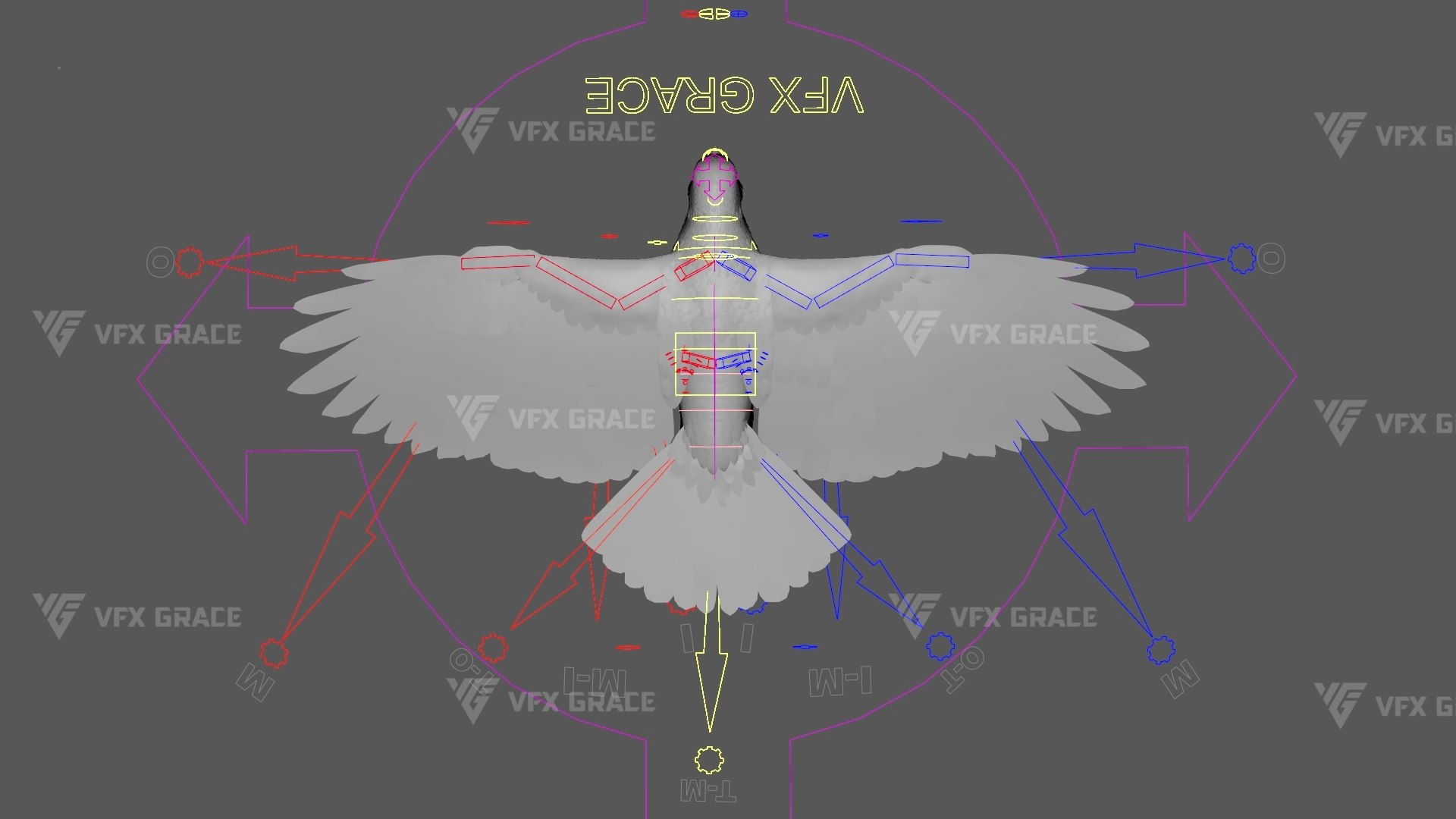 3D Carrion Crow Animated - Advanced Wing Rig Individual Feather Control ...