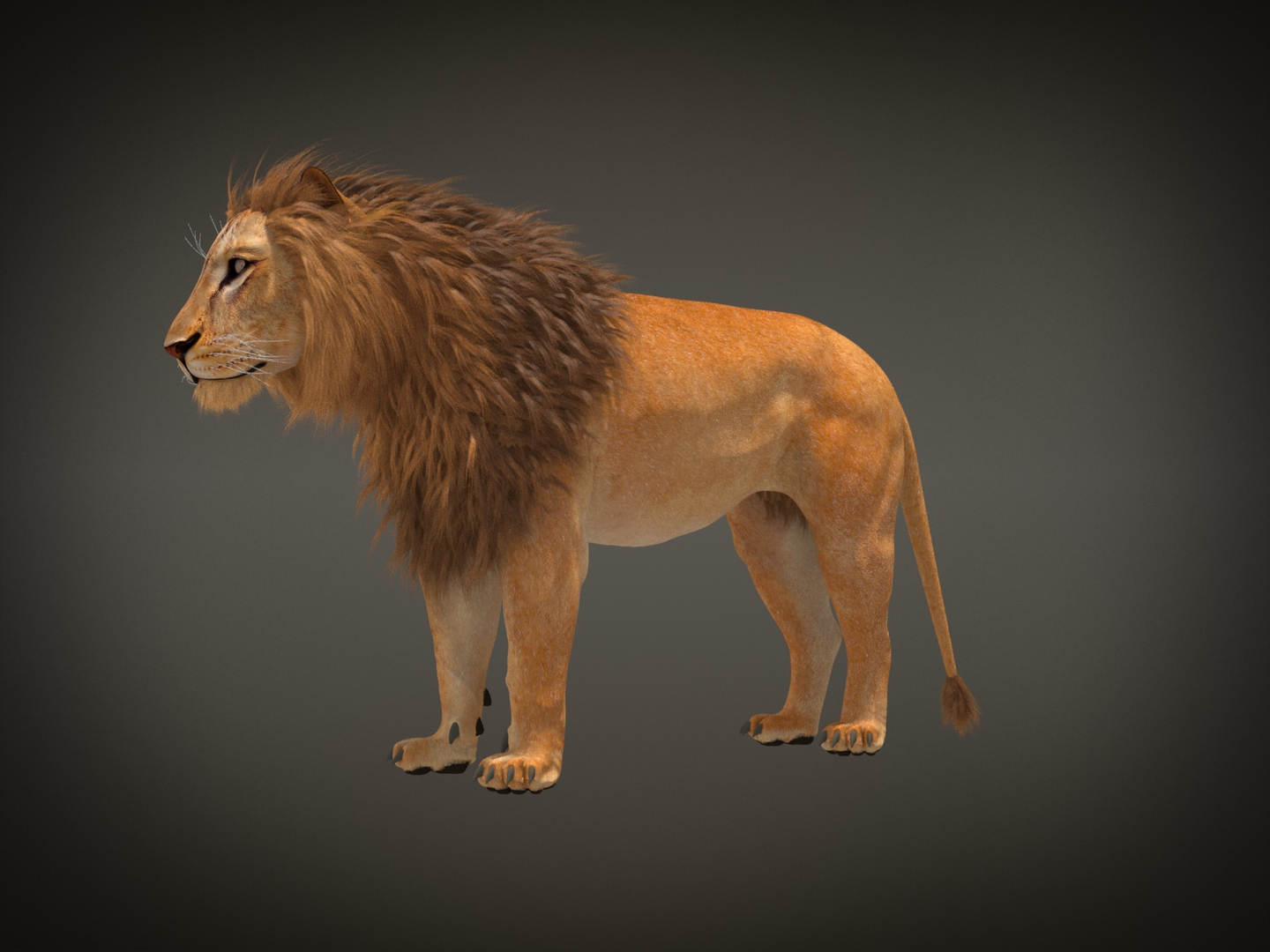 3d Rigged Lion King Hair Fur