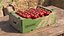 Organic Cherry Vine Tomato Harvest Box