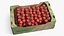 Organic Cherry Vine Tomato Harvest Box