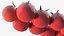 Organic Cherry Vine Tomato Harvest Box