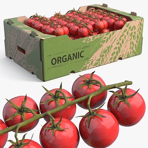 Organic Cherry Vine Tomato Harvest Box 3D model