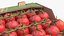 Organic Cherry Vine Tomato Harvest Box