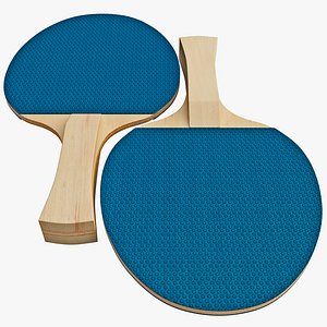 Ping Pong Paddle