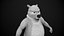 Cartoon Bear Rigged