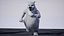 Cartoon Bear Rigged