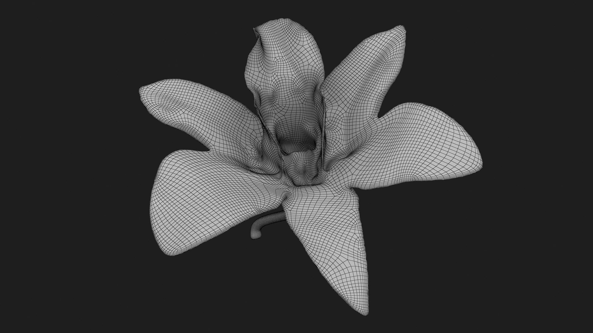 Dendrobium Sonia Purple Orchid 3D model https://p.turbosquid.com/ts-thumb/On/jbSlzT/61/densoniapurple_g0004/jpg/1726211136/1920x1080/fit_q87/7ba4ab9bc82e37c0e03c10f19ddd30fadcb19b75/densoniapurple_g0004.jpg