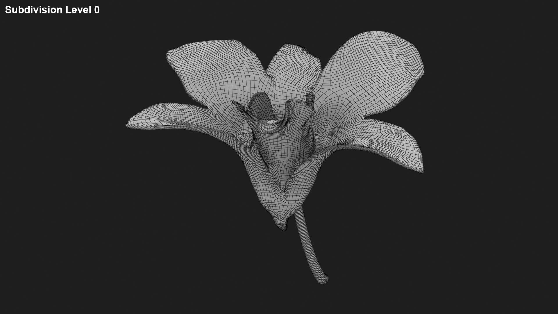 Dendrobium Sonia Purple Orchid 3D model https://p.turbosquid.com/ts-thumb/On/jbSlzT/JB/densoniapurple_g0001/jpg/1726211134/1920x1080/fit_q87/ec99ded9bb8dd6c873cf1223cd68db70e3bc0013/densoniapurple_g0001.jpg