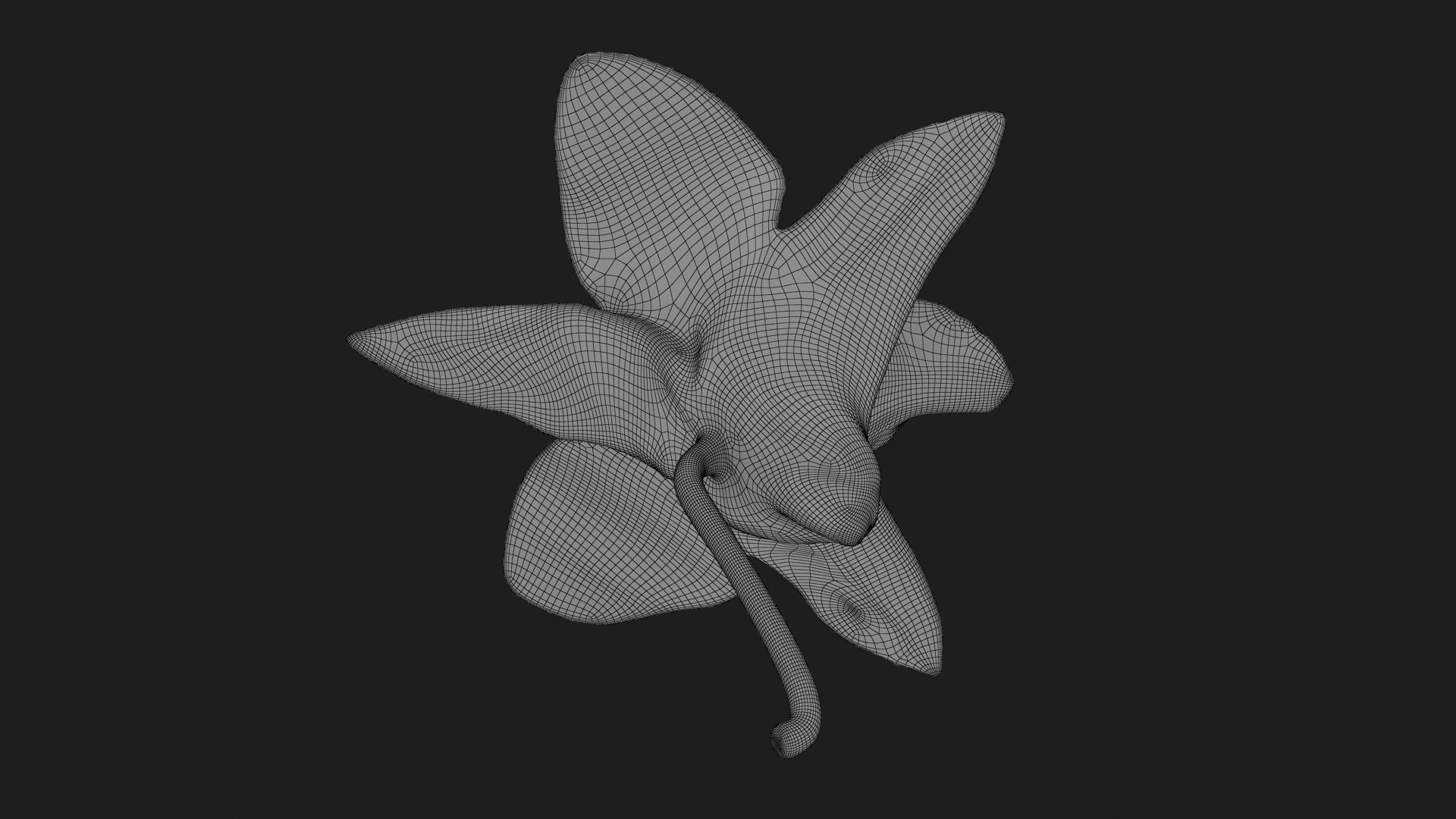 Dendrobium Sonia Purple Orchid 3D model https://p.turbosquid.com/ts-thumb/On/jbSlzT/XJ/densoniapurple_g0003/jpg/1726211134/1920x1080/fit_q87/b48b0930f2021d3a71d73099855a2a74047d6206/densoniapurple_g0003.jpg