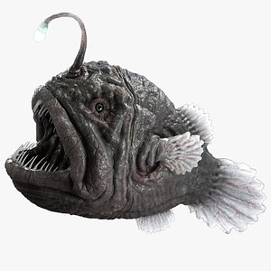 Anglerfish Rigged 3D model