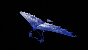 Hang Glider 3D model