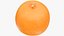 Citrus Fruits Collection V5 3D model