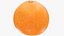 Citrus Fruits Collection V5 3D model