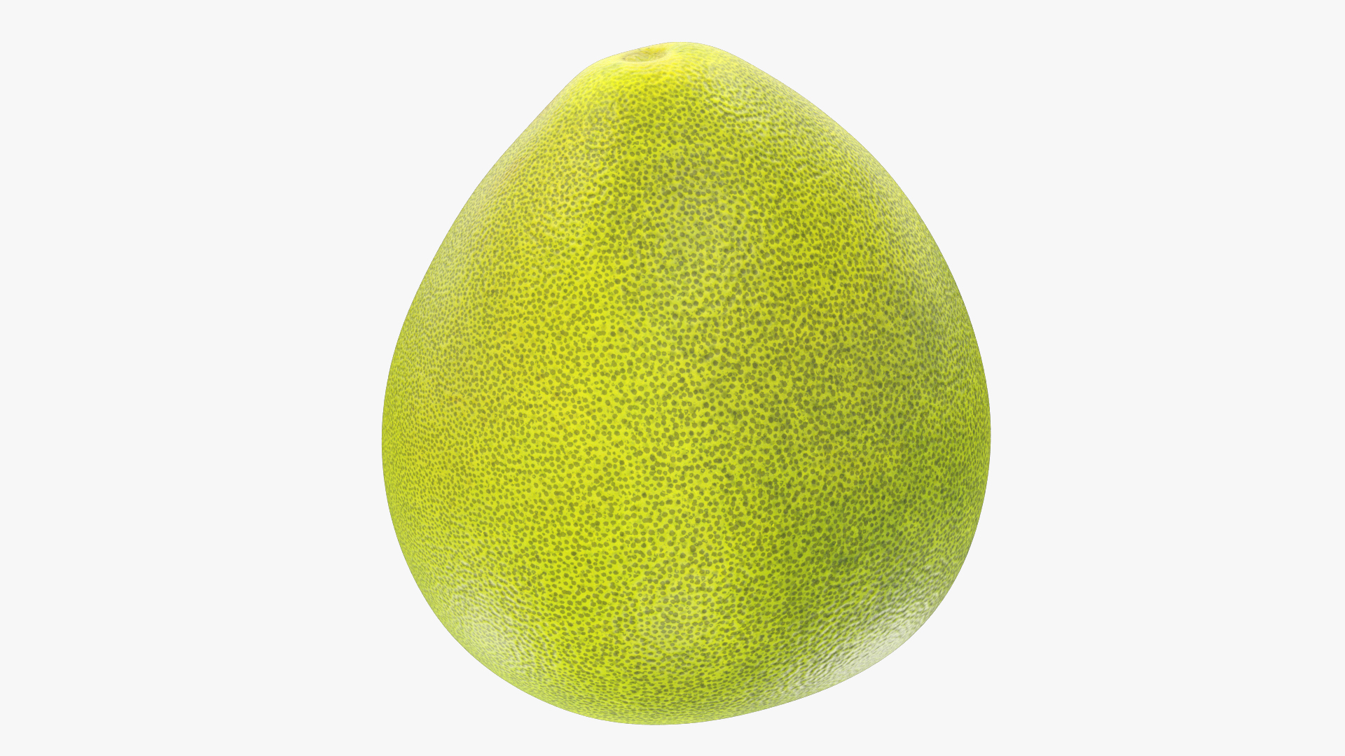 Citrus Fruits Collection V5 3D model https://p.turbosquid.com/ts-thumb/Oo/5jl3g8/vf/pomelo1render/jpg/1718378412/1920x1080/turn_fit_q99/24a259675693a7ca4780b189dc05f0b155d0848a/pomelo1render-1.jpg