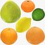 Citrus Fruits Collection V5 3D model