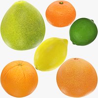 Citrus Fruits Collection V5