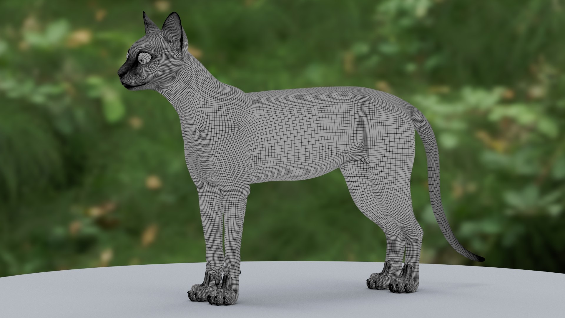 3D Cat Tabby Model - TurboSquid 2040609