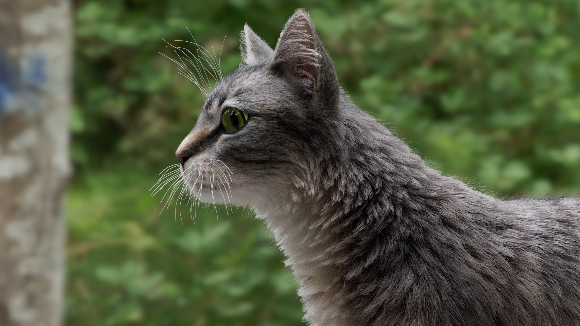 3D Cat Tabby Model - TurboSquid 2040609