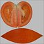 Tomatoes PBR Scan Retopo