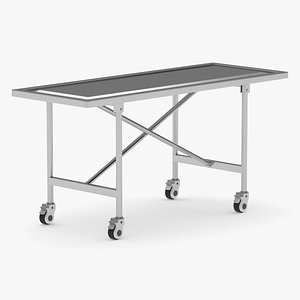 3D Medical Cadaver Table model