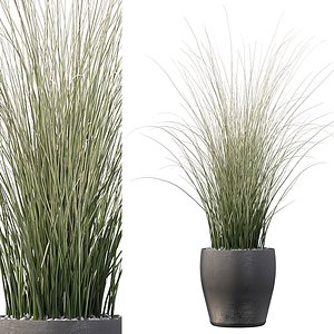 grass 3D model