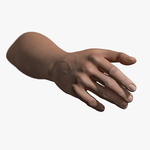 Rigged and Animated Hand (Male)