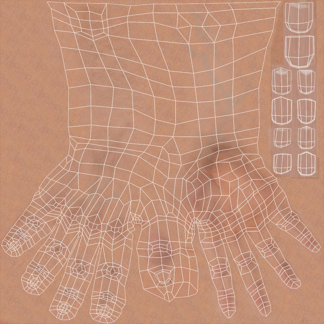 Rig Hand Male 3d C4d