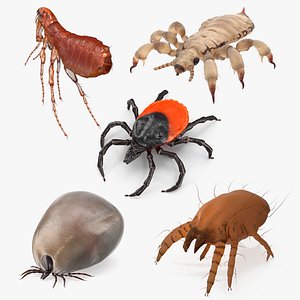3D Parasites Collection 2 model