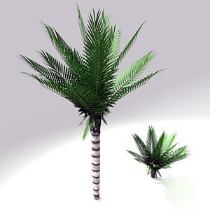 c4d palm tree sago