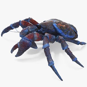 palm thief 3D model