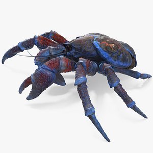 Palm Thief 3D Model