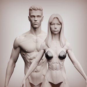 3D Man  woman anatomy constructor