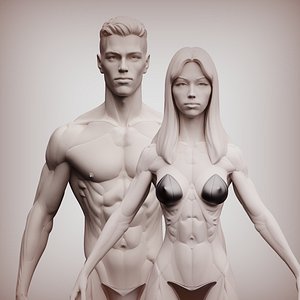 Man woman anatomy constructor