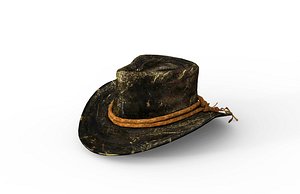 Cowboy hat