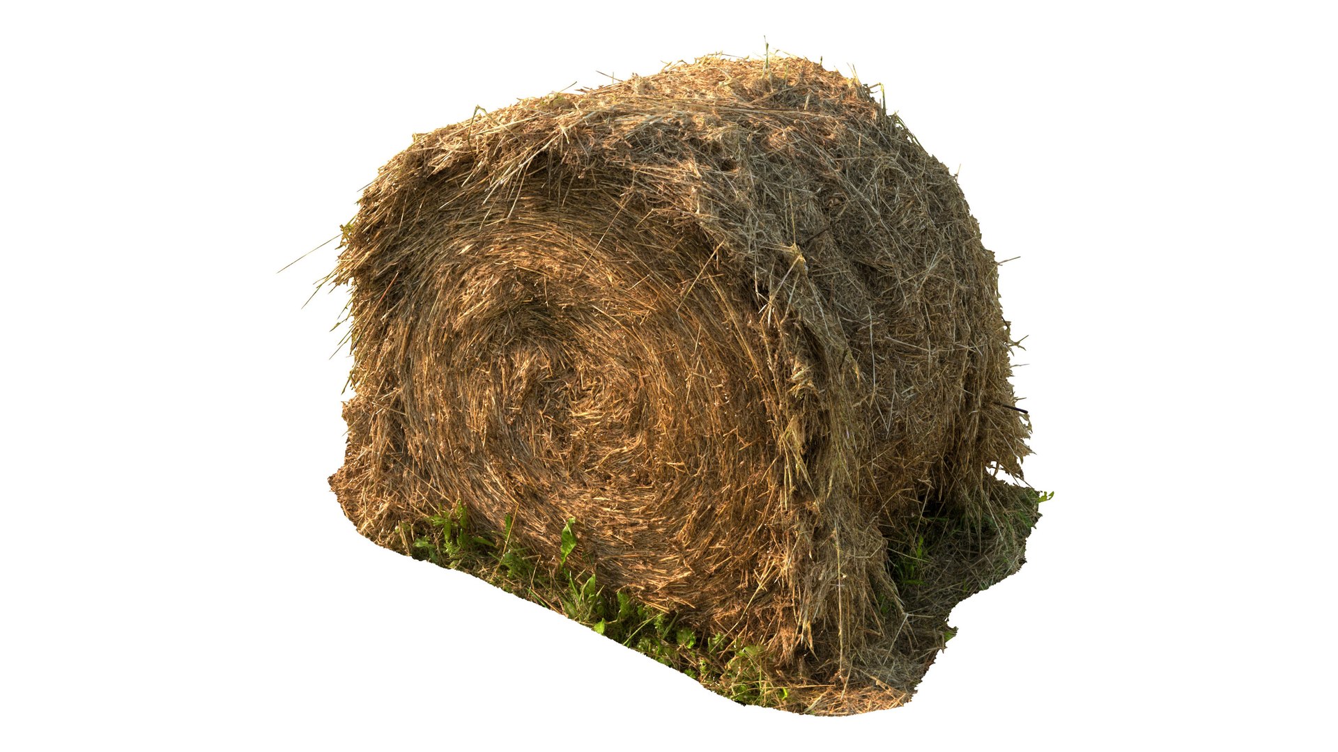 3D Model Round Bale Of Hay - TurboSquid 2119096