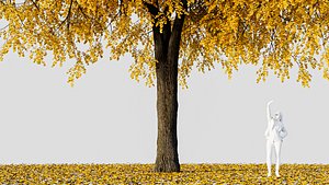 3D Gingko